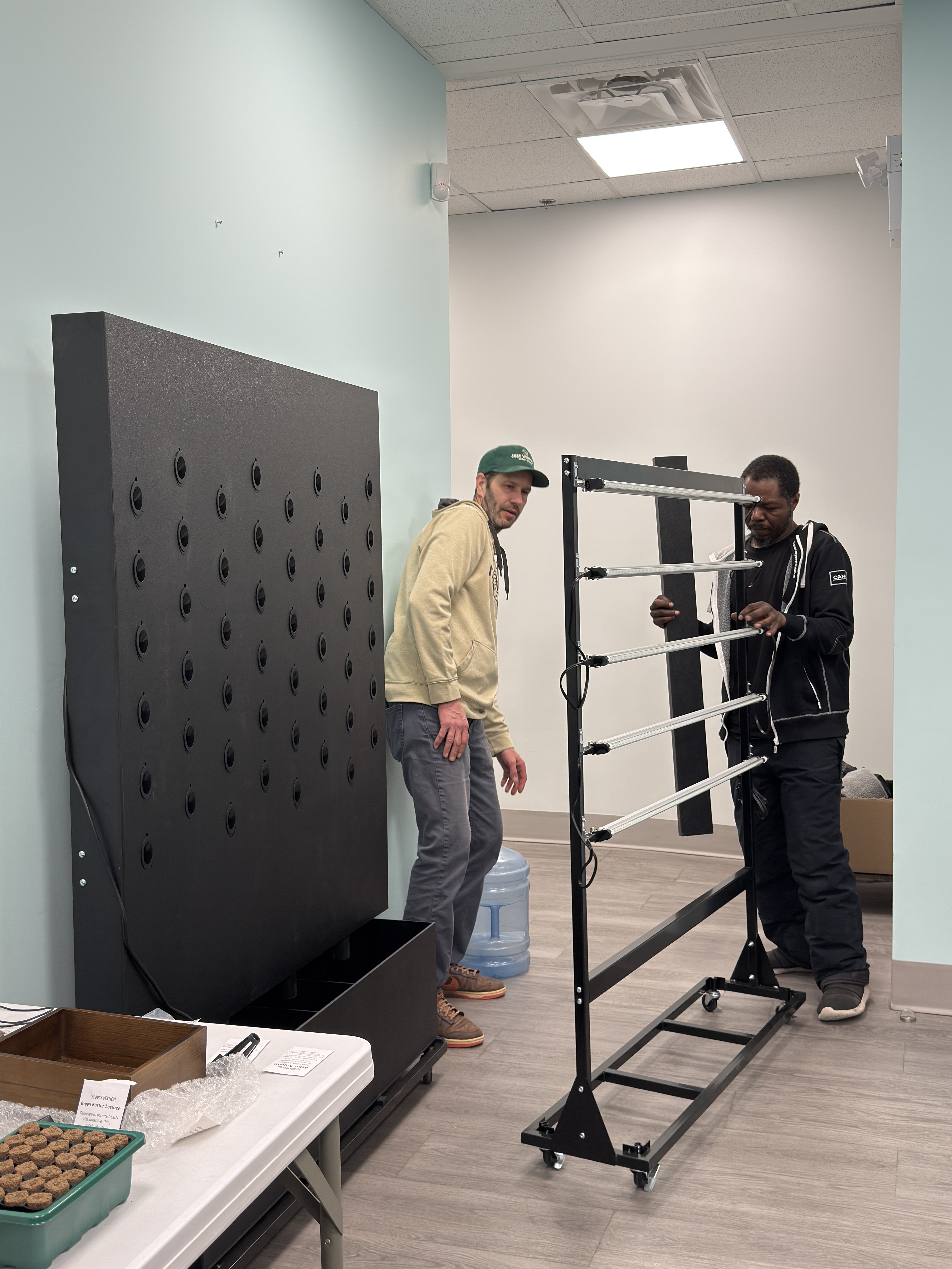 Just Vertical greens installation